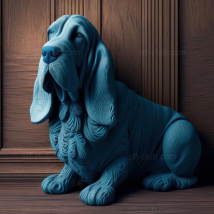 st Blue Gascon Basset dog